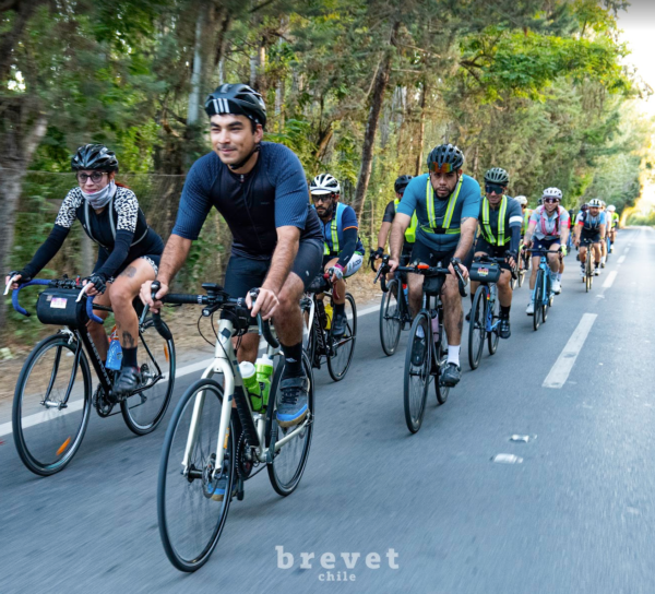 Evento Brevet 400km – Vuelta Quinta de Tilcoco - 8 de febrero 2025 - Imagen 5