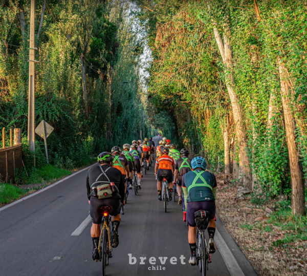 Evento Brevet 400km – Vuelta Quinta de Tilcoco - 8 de febrero 2025 - Imagen 6